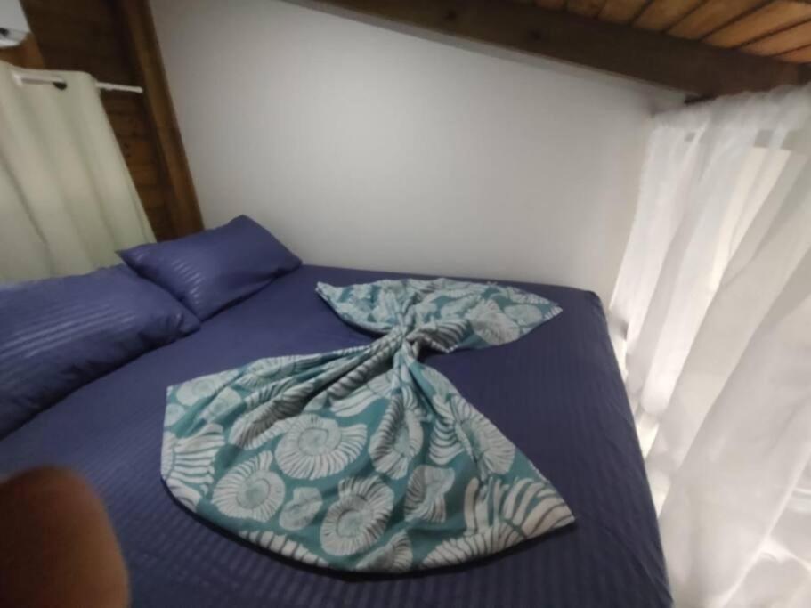 Holiday home Tinyhouse Perto Jurere In C A/c Fire Tv 3