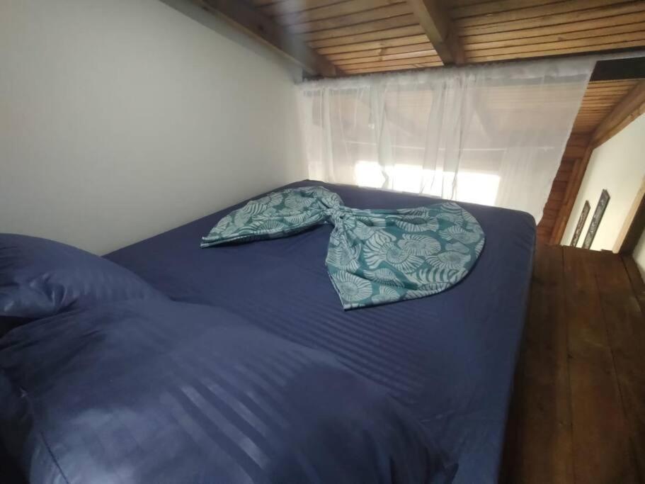 Tinyhouse Perto Jurere In C A/c Fire Tv 3 Florianopolis